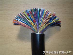 HYA53全塑铠装通信电缆 现代通讯网络的坚固基石